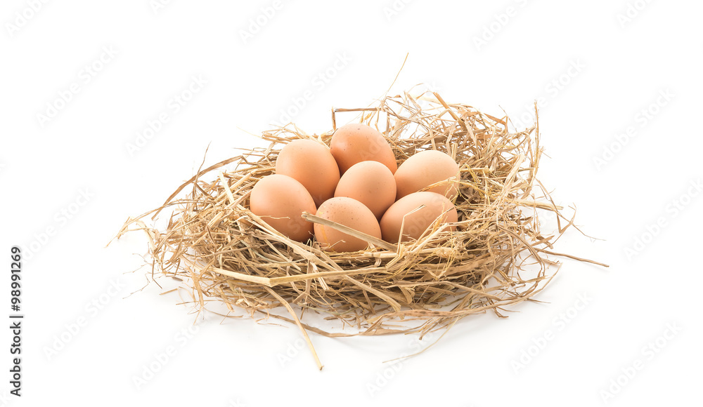 hen eggs hen eggs