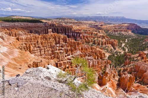 scenic bryce canyon landscape