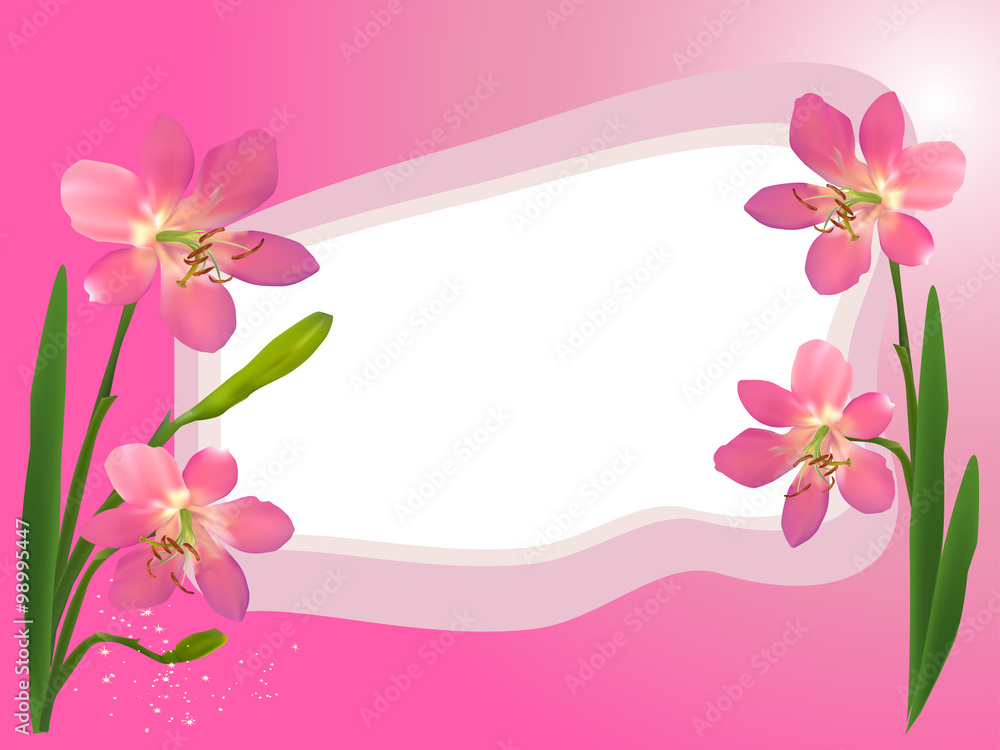 pink flowers in simple frame
