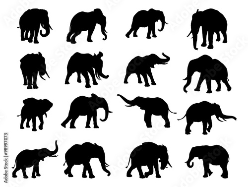 Elephant Silhouettes