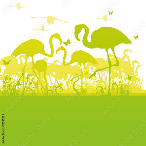 Flamingos am Rande eines Teiches