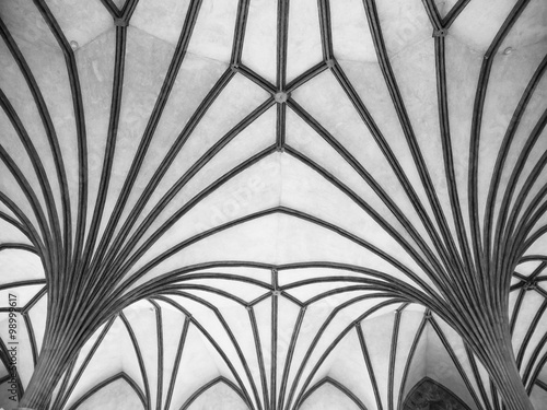 Gothic rib vault ceiling