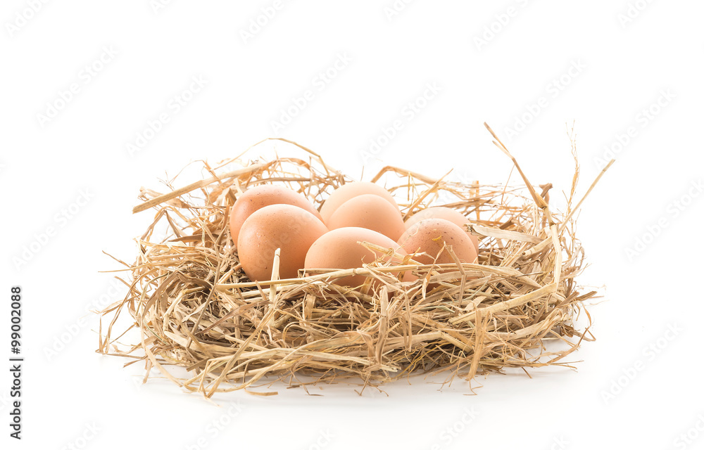 hen eggs hen eggs