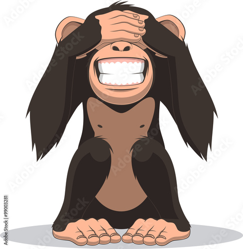 Photography Funny little monkey