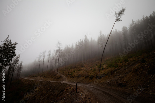 Fototapeta Naklejka Na Ścianę i Meble -  Beautiful foggy Beskidy mountains landscape