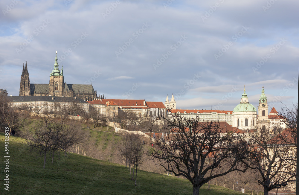 Вид на Пражский Град, Собор Святого Вита с холма Петршин. Прага. Чехия.