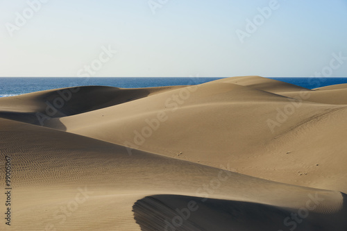 Sandy dunes in desert   Sandy and wavy dunes with stylish forms in a wide desert under blue sky