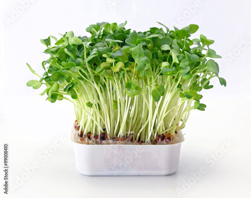 Watercress in Tray