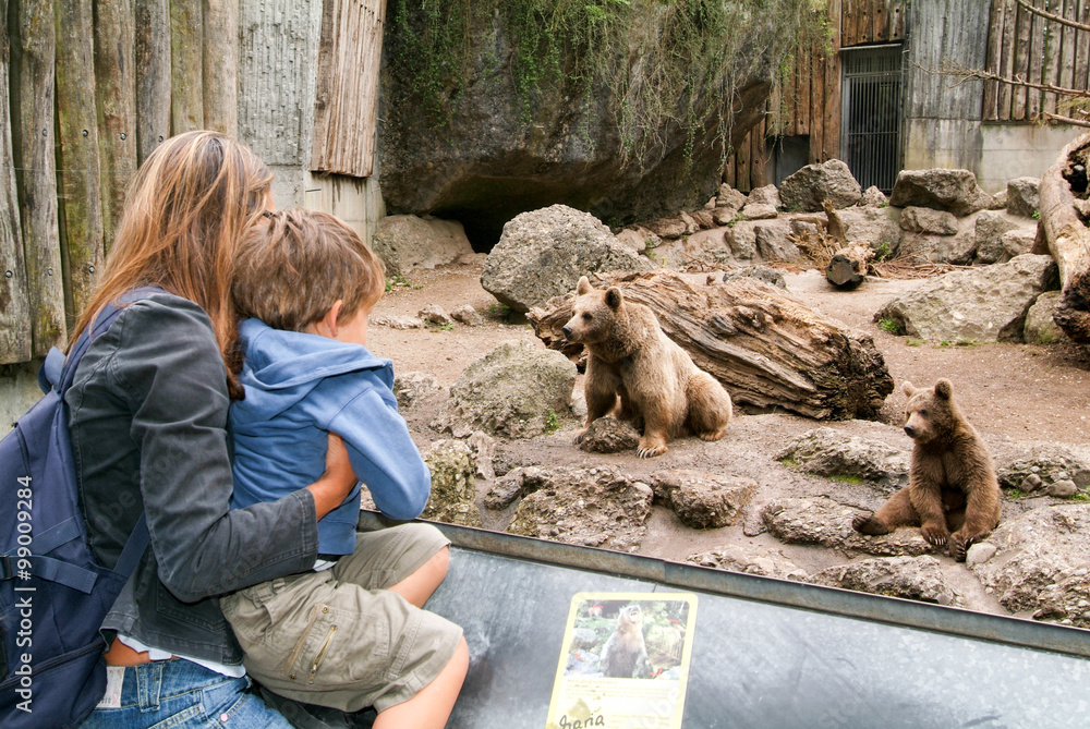 Fototapeta premium people looking at brown bears in the zoo of Goldau