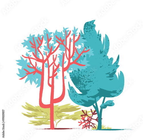 Piante e vegetazione 