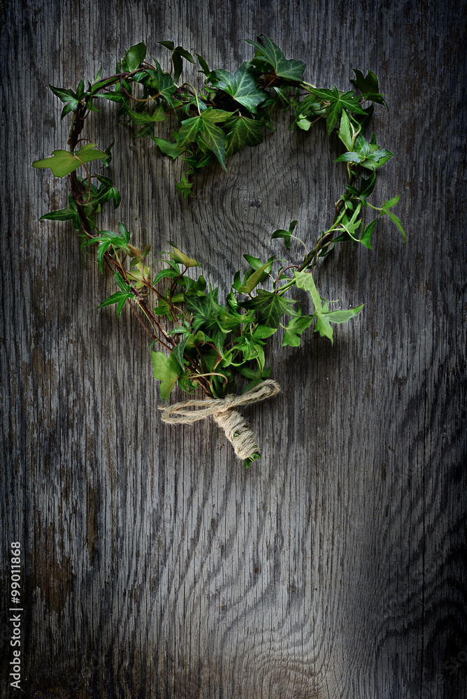 cuore di edera su vecchio legno