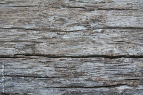 Abstract Texture Of Wood.