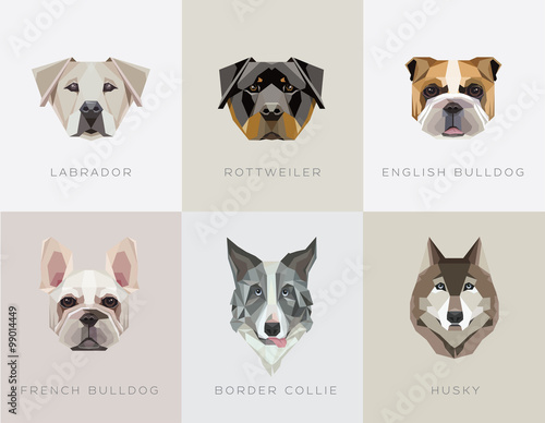 Modern contemporary geometric dog breeds vector illustrations. Labrador retriever, Rottweiler, English bulldog, French bulldog, Border Collie and Husky icons