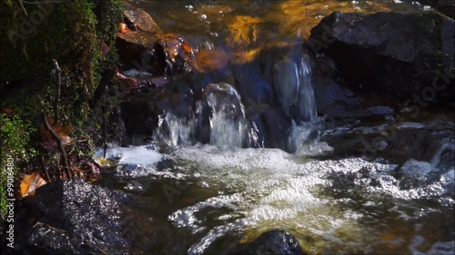 Kleiner Wildbach rauscht zwischen bemoosten Felsen