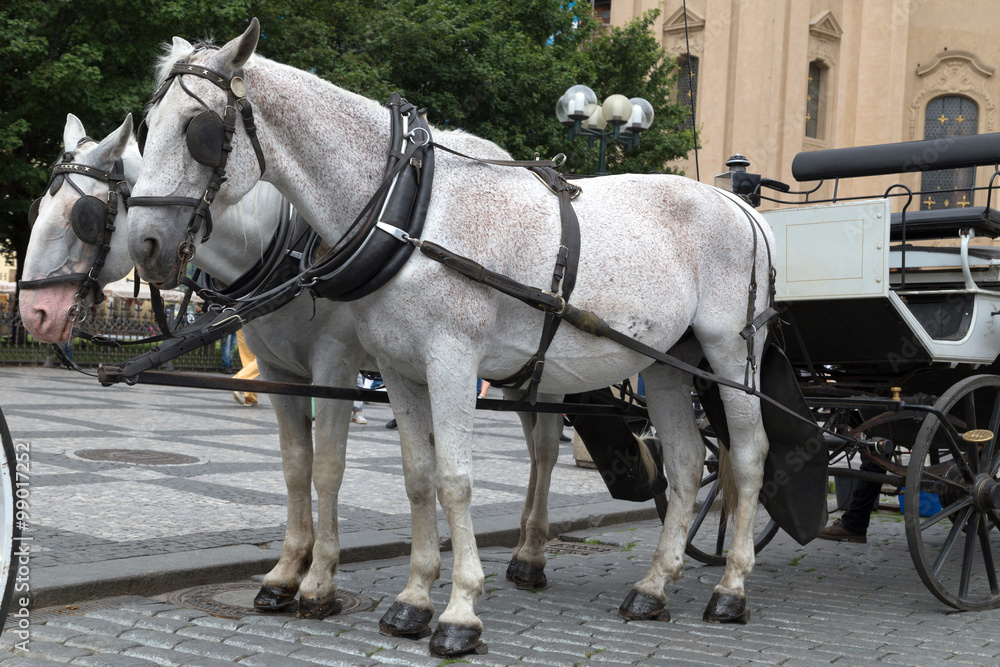 Carriage with horses at the Old Town Square. Prague Carriage with horses at the Old Town Square. Prague