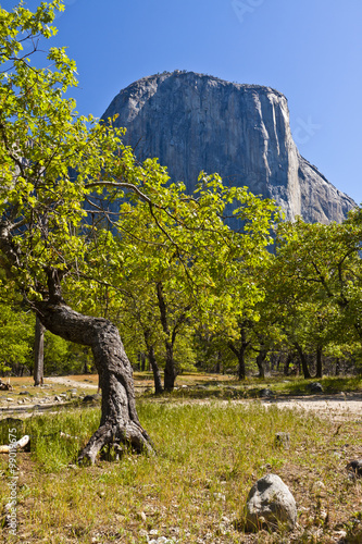 El Capitain in Yosemite National Park of California photo