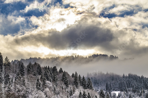 Wald_Alpen_Himmel_Sonne_1