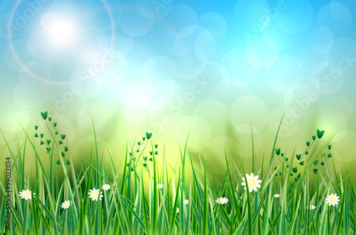 Spring background with grass, flowers and blurred background