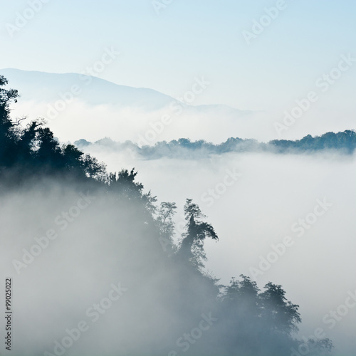 Foggy Morning © George