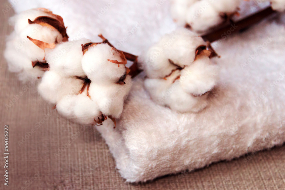 cotton flower and towel on cloth background. cotton flower and towel on cloth background.