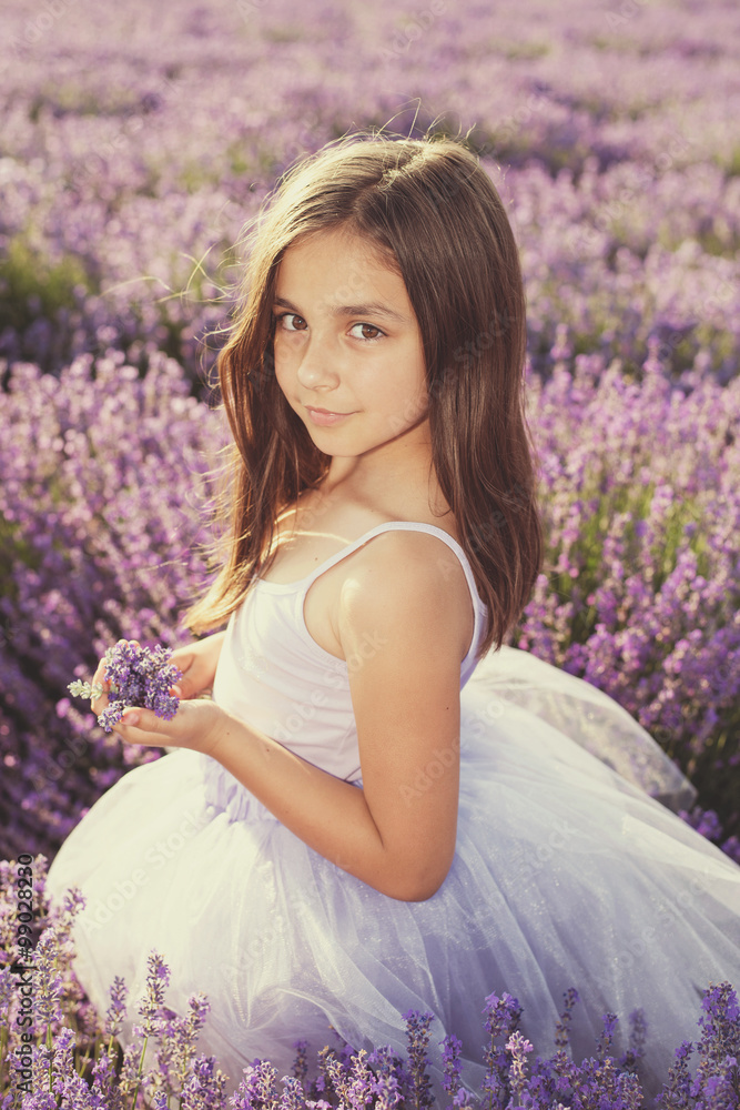 Little girl in a field of lavender Little girl in a field of lavender