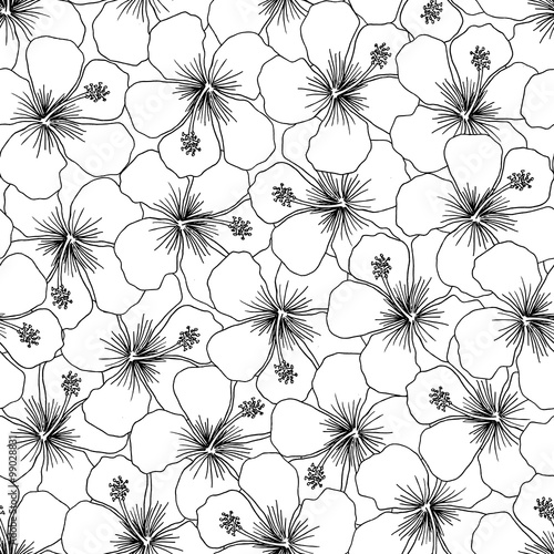 Seamless background pattern with hand drawn hibiscus flowers