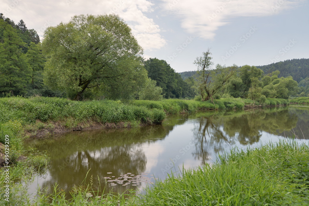 Fototapeta premium REgen bei Hirschling, Bayern