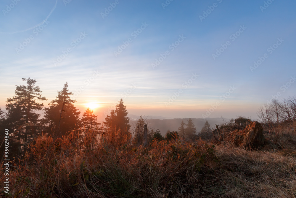 Sonnenuntergang im Schwarzwald