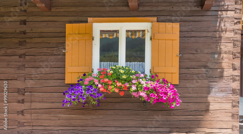 Fenster mit Blumenschmuck  Holzhaus in den   sterreicher Alpen
