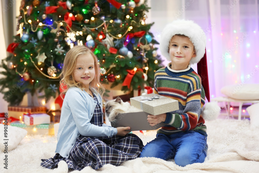 Happy children and fluffy cat in a box as a gift in the decorated Christmas room Happy children and fluffy cat in a box as a gift in the decorated Christmas room