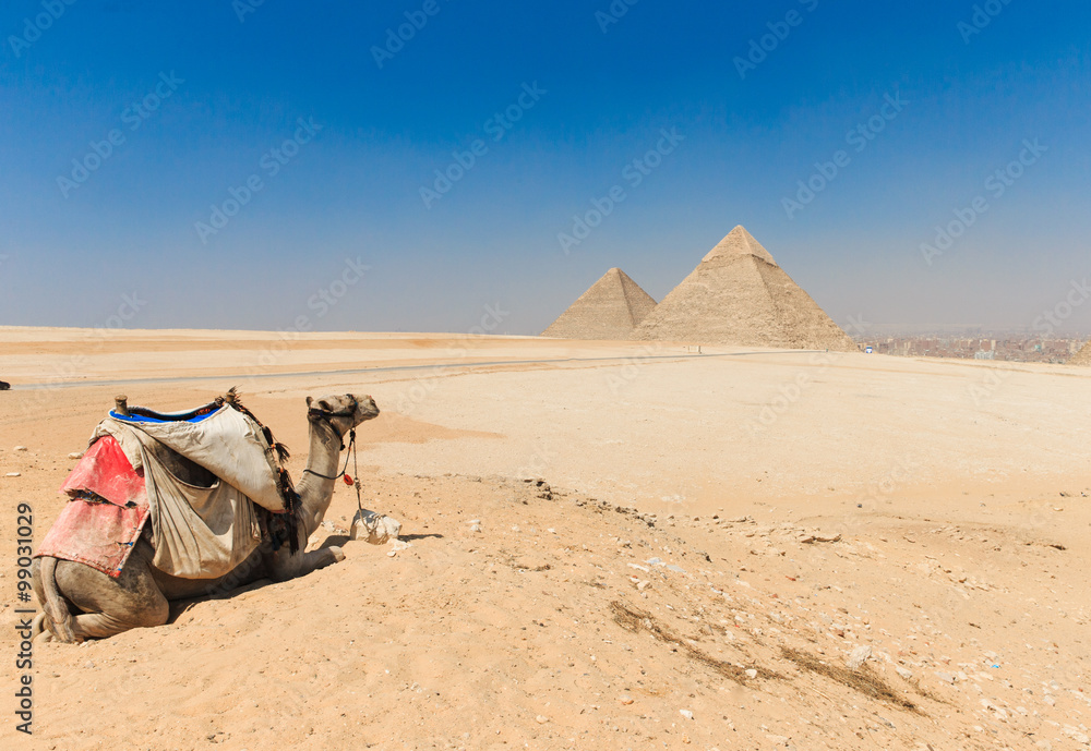 Fototapeta premium pyramids with a beautiful sky of Giza in Cairo, Egypt.