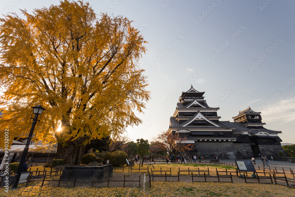 Fototapeta premium Kumamoto Castle , Kumamoto in Kumamoto Prefecture