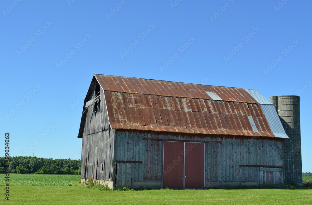 Old vintage barn with a rusted tin roof on a sunny summer day
