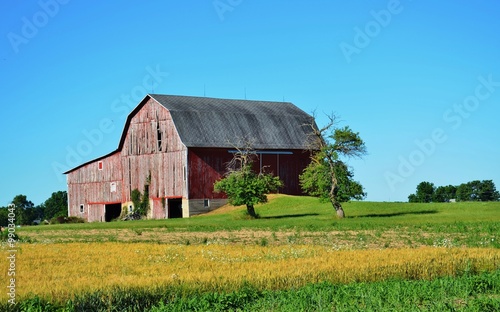 Agriculture storage barn and surrounding farmland on a sunny summer day