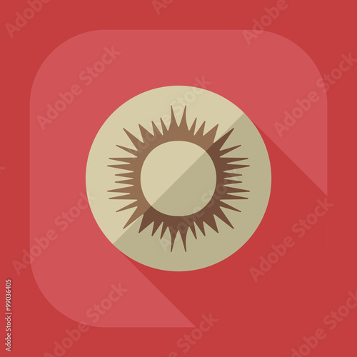Flat modern design with shadow icon optics