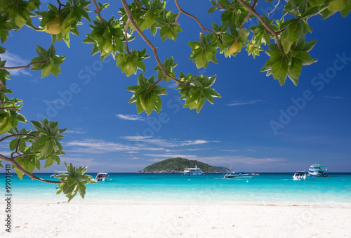Beautiful tropical similan island white beach