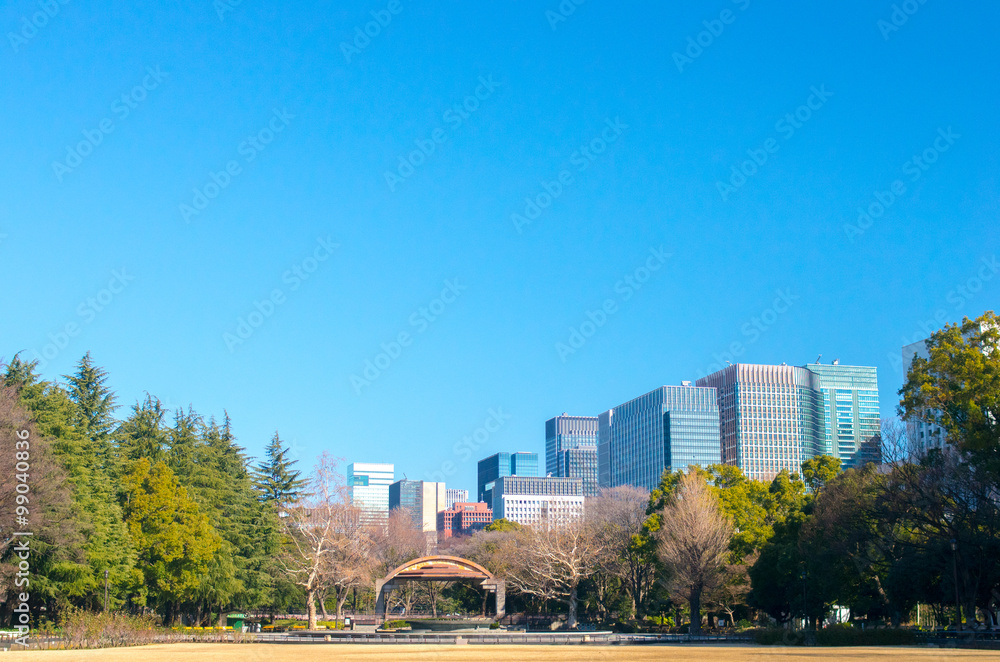 Fototapeta premium hibiya park