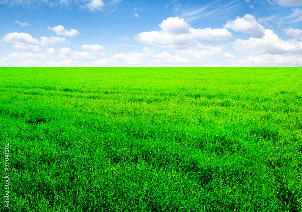 Background image of lush grass field under blue sky