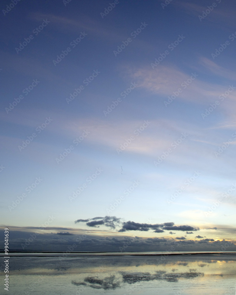 Obraz premium Estuary