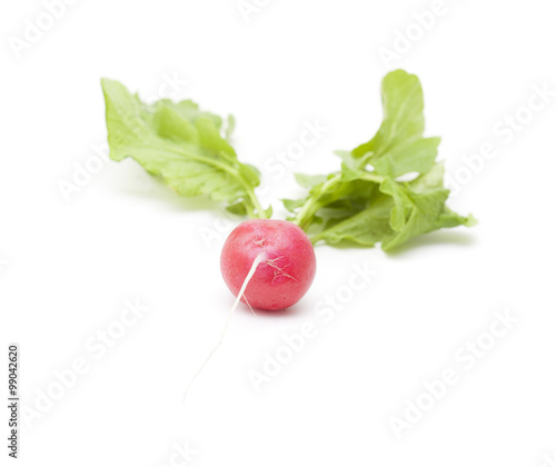 one red radish