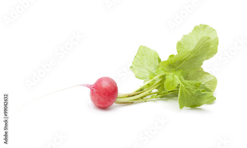 one red radish