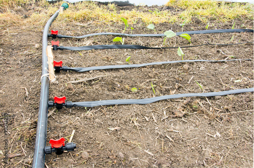 Irrigation system in greenhouse