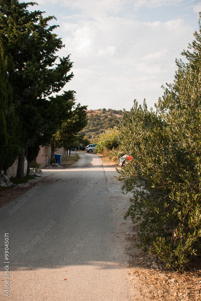 Stone path in Croatia