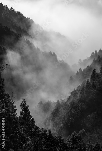 Plakat Mgła w dolinie