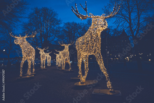 Photography Group of Christmas moose made of led light