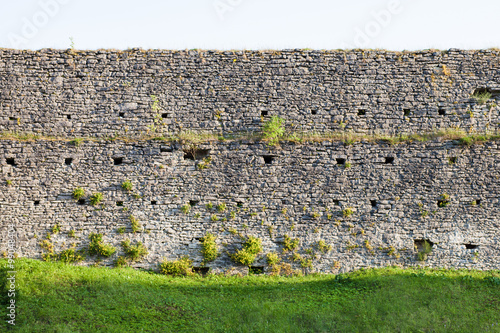 texture of the stone wall with grass