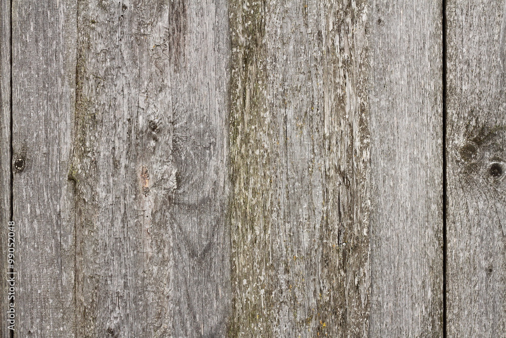 Obraz premium beige fir boards texture