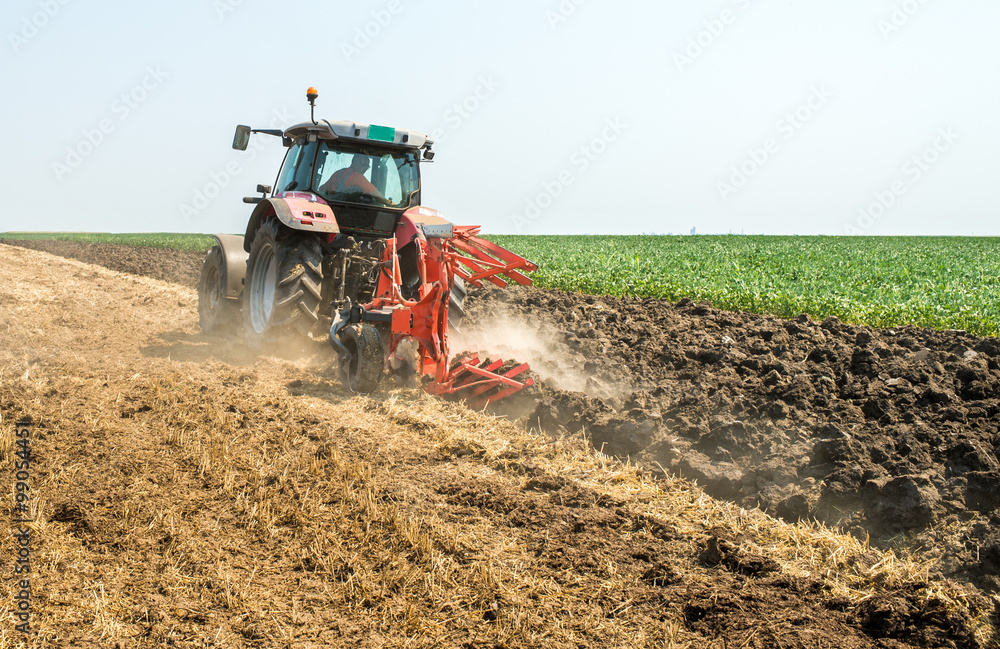 Fototapeta premium Tractor plowing field