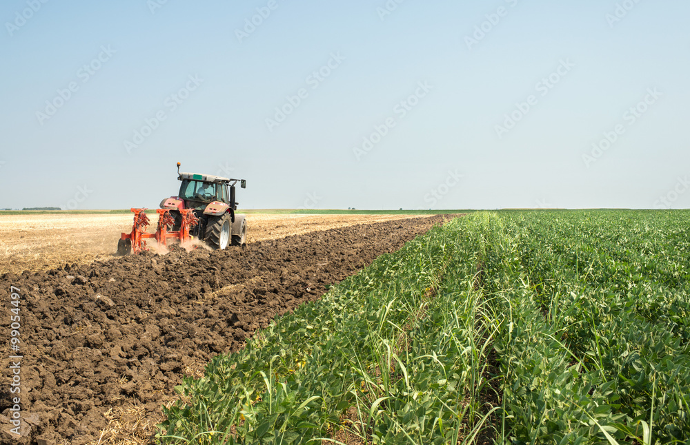 Fototapeta premium Tractor plowing field