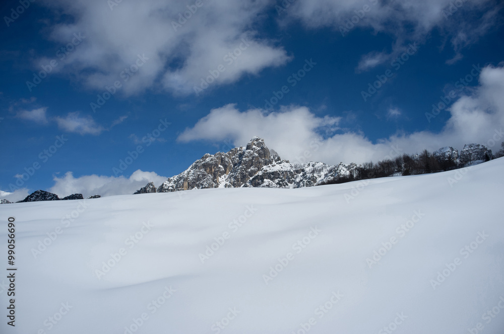 Fototapeta premium rocky summit sticking out of snow